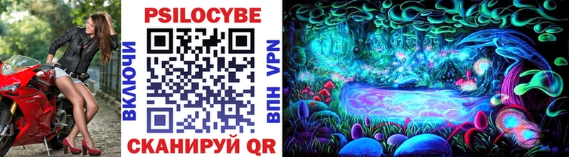 магазин продажи   Мосальск  Псилоцибиновые грибы Cubensis 